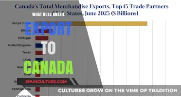Brazil's Key Exports to Canada: Trade Insights and Top Products