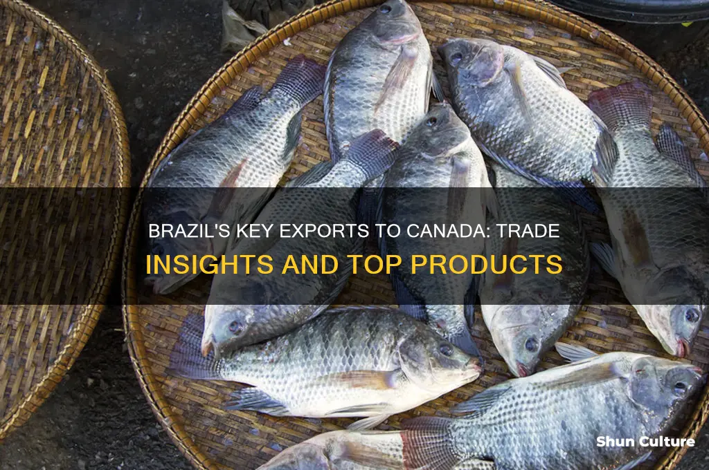 what does brazil export to canada