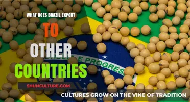 Brazil's Global Trade: Key Exports Driving the Nation's Economy