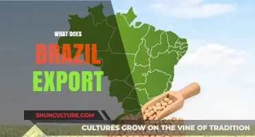 Brazil's Global Trade: Key Exports Driving the Nation's Economy