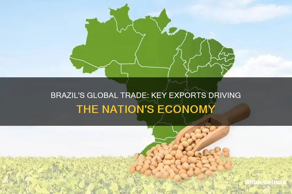 what does brazil export