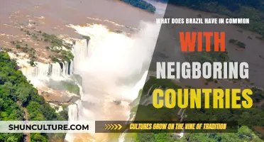 Brazil's Shared Culture, Language, and Traditions with Neighboring Nations