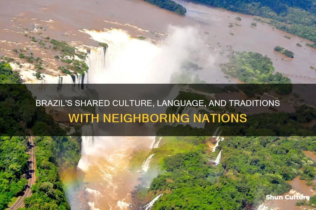 what does brazil have in common with neigboring countries