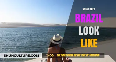 Exploring Brazil's Vibrant Landscapes, Culture, and Iconic Landmarks