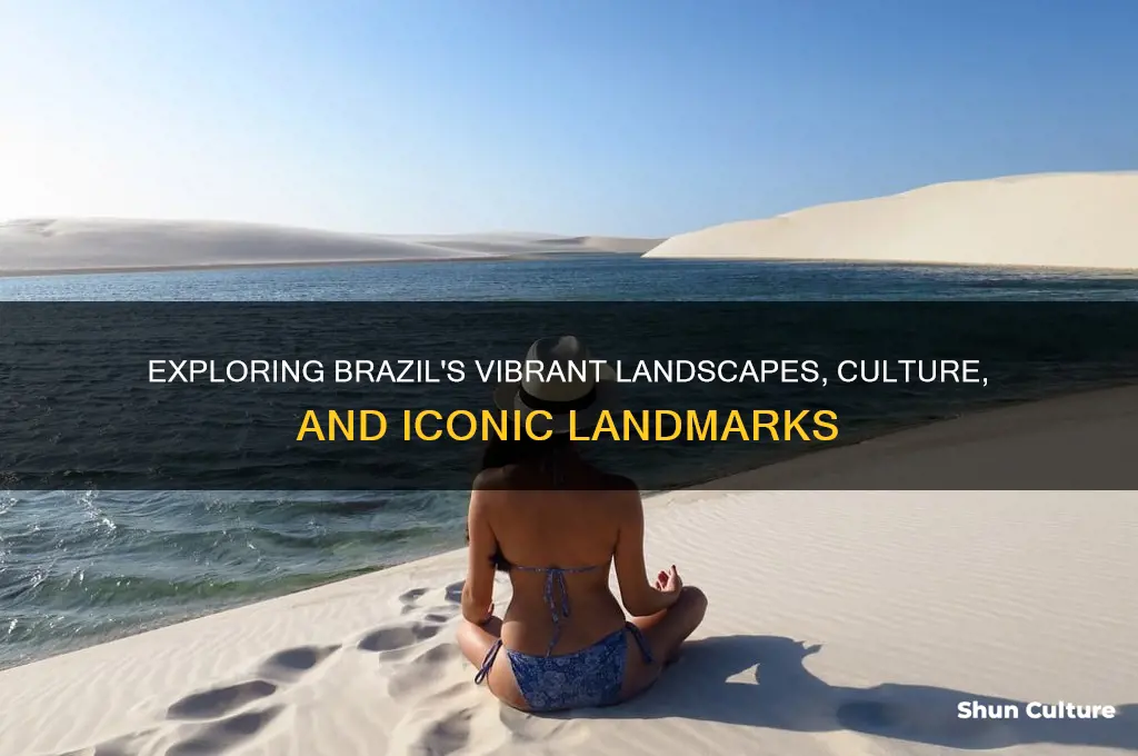 what does brazil look like