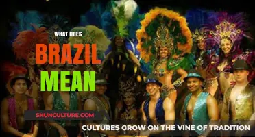 Unveiling Brazil's Essence: Culture, History, and Identity Explained
