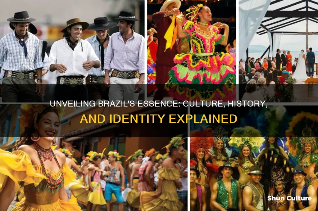 what does brazil mean