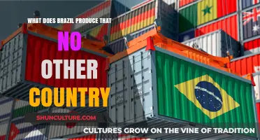 Brazil's Unique Exports: Exclusive Products No Other Country Produces