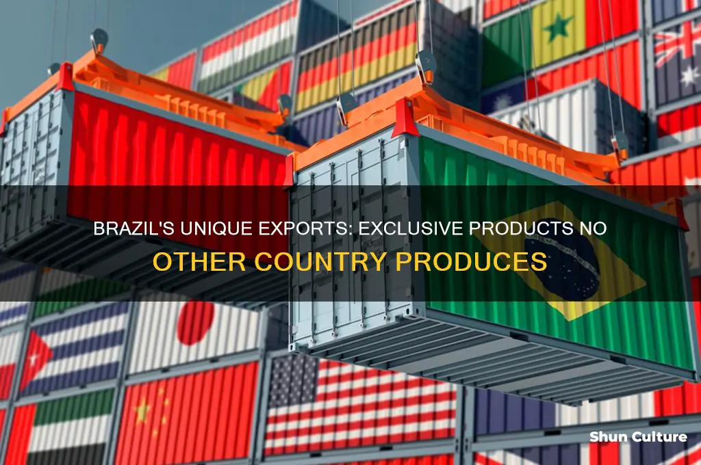 what does brazil produce that no other country