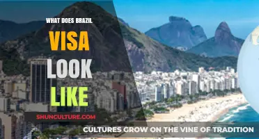 What Does a Brazil Visa Look Like? A Detailed Guide