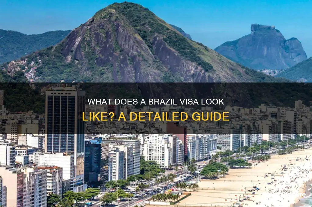 what does brazil visa look like