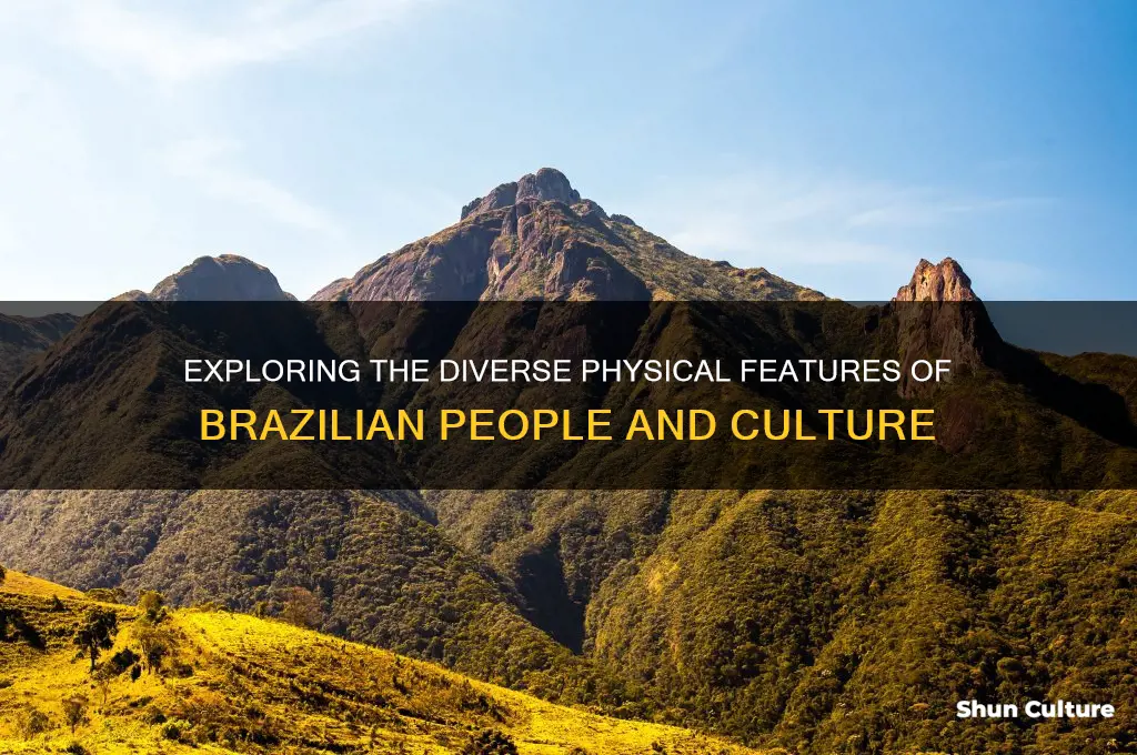 what does brazilian look like
