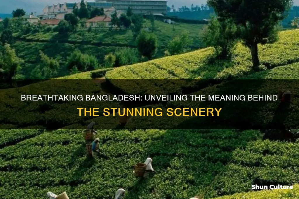 what does breathtaking mean in bangladesh
