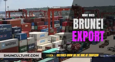 Brunei's Economy: Major Exports and Trade Partners