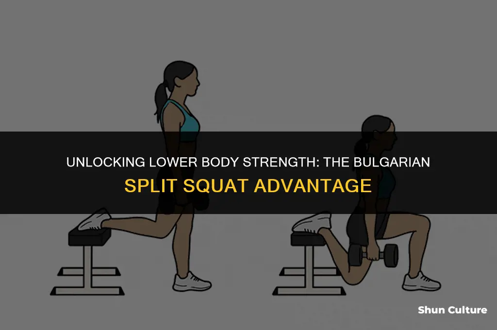 what does bulgarian split squat target
