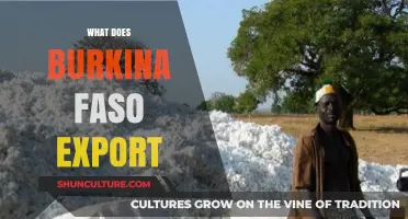 Exploring Burkina Faso's Key Exports: A Comprehensive Guide