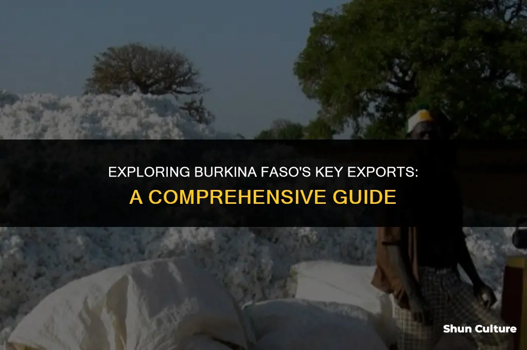 what does burkina faso export