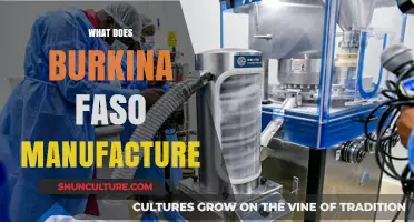 Exploring Burkina Faso's Manufacturing Sector: A Comprehensive Overview