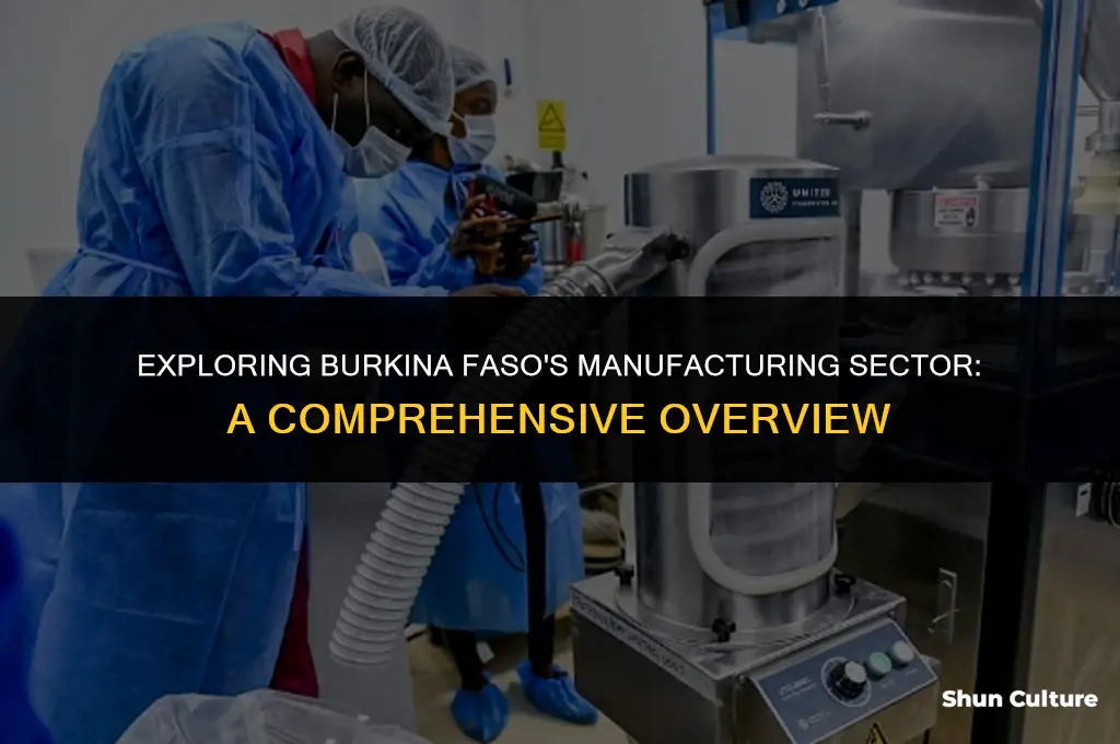what does burkina faso manufacture