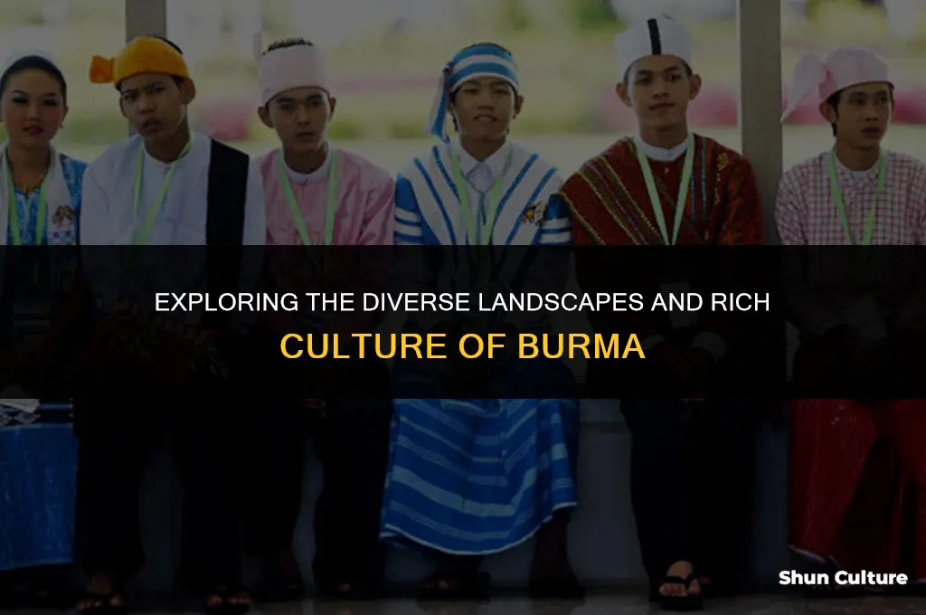 what does burma look like