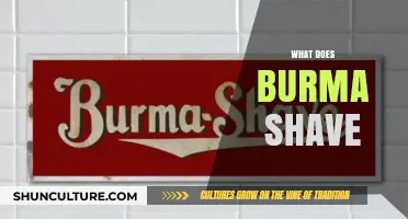 Unveiling the Mystery: What Does Burma Shave?