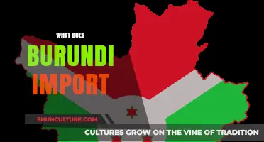 Exploring Burundi's Import Landscape: Key Commodities and Trade Partners