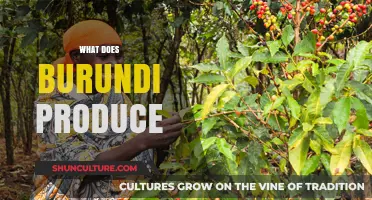 Exploring Burundi's Rich Agricultural Bounty and Economic Exports