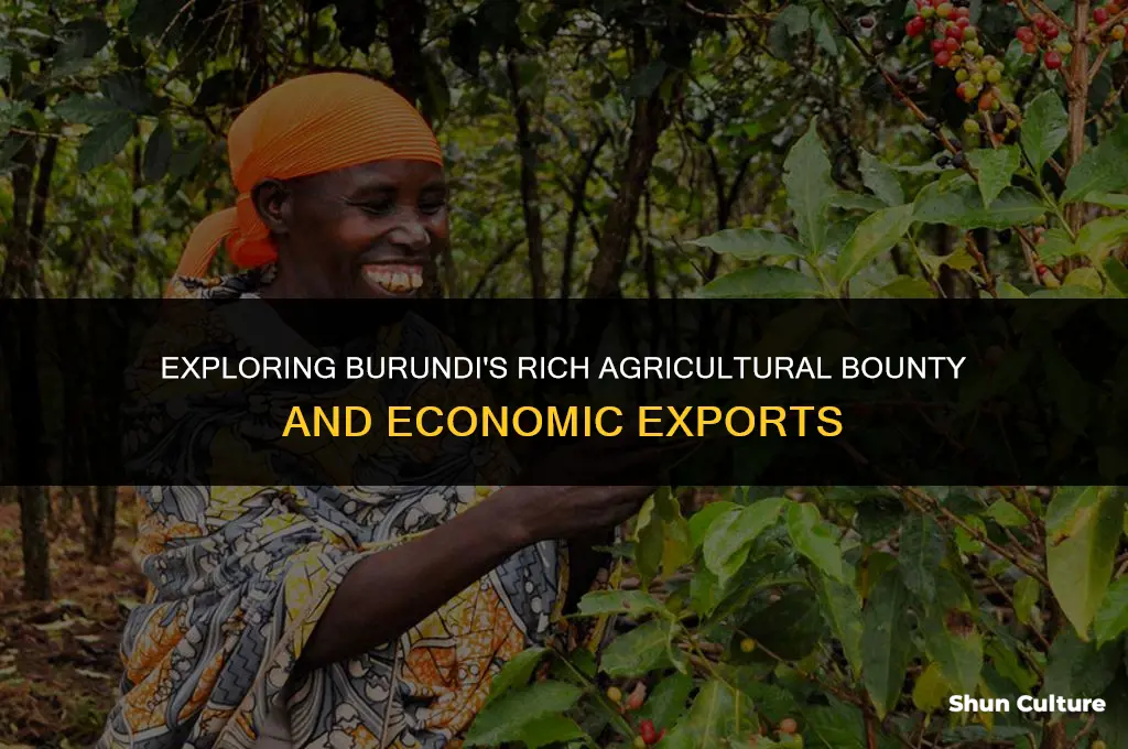 what does burundi produce