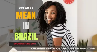 Understanding C.V. in Brazil: Meaning, Usage, and Cultural Significance