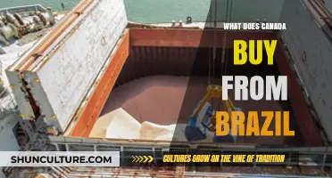 Canada-Brazil Trade: Key Imports from Brazil to Canada Explored