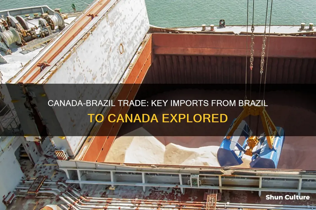 what does canada buy from brazil
