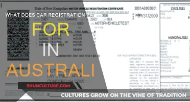 Car Registration Costs: Where Does the Money Go?