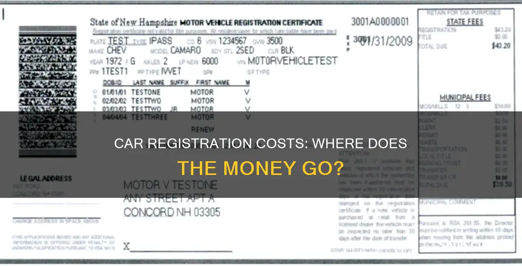 what does car registration pay for in australia