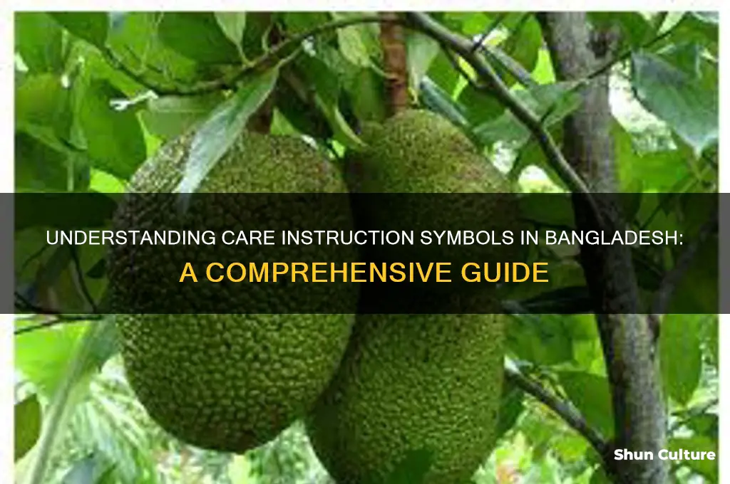 what does care instruction symbols in bangladesh mean