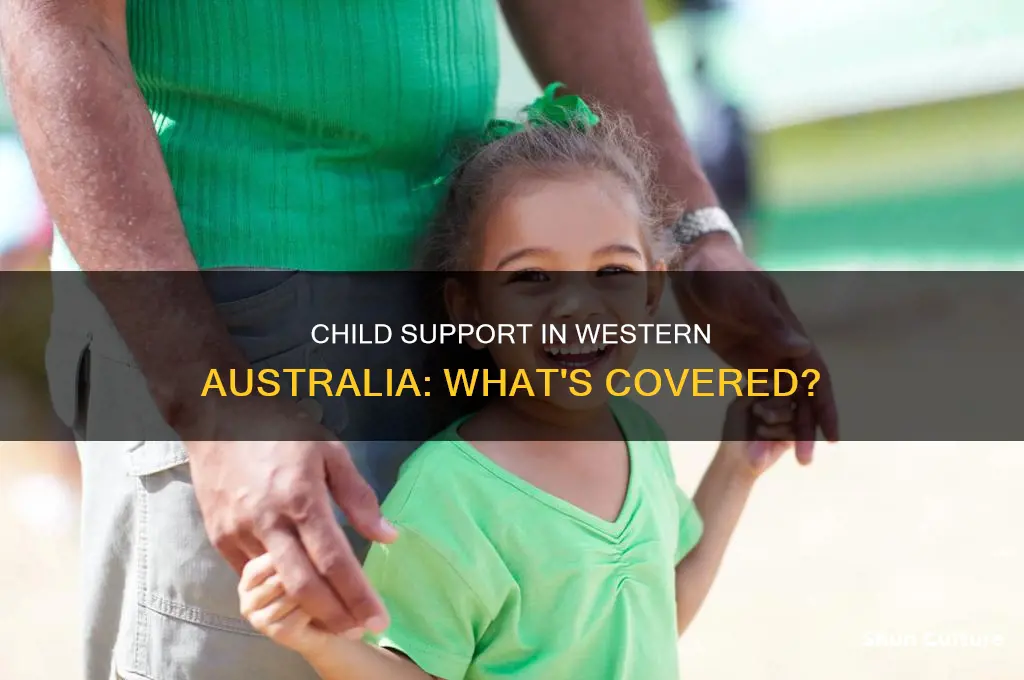 what does child support cover in western australia