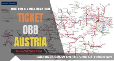 Understanding Train Ticket Codes: Unraveling the Mystery of 'CLV' on OBB Austria Tickets