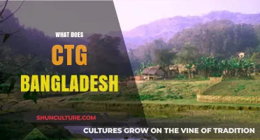 Understanding CTG Bangladesh: Role, Impact, and Significance in Governance