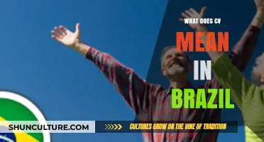 Understanding CV in Brazil: Meaning, Usage, and Cultural Significance