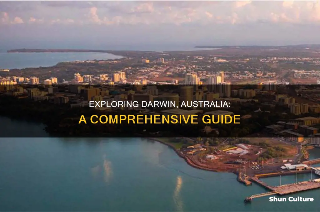 what does darwin australia look like
