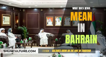 The Intriguing Meaning of Dewa in Bahrain's Culture