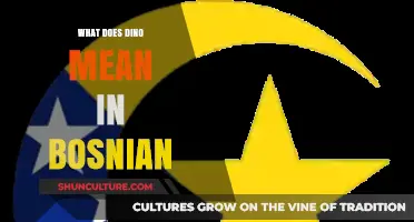 Understanding the Meaning of 'Dino' in Bosnian Language and Culture