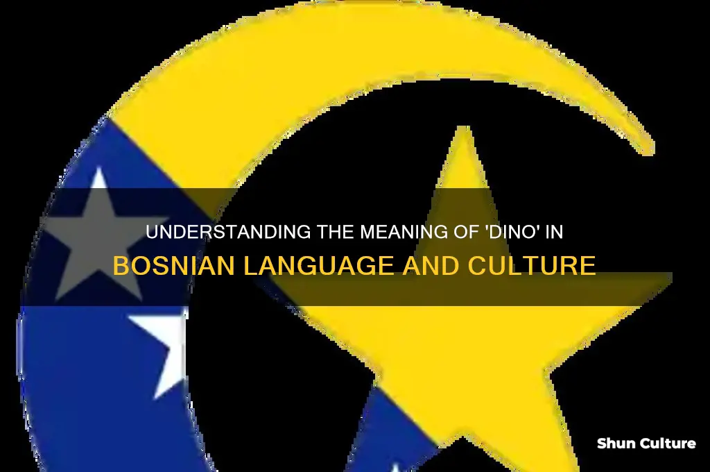 what does dino mean in bosnian