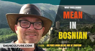 Understanding Dobro: Exploring the Meaning and Usage in Bosnian Language
