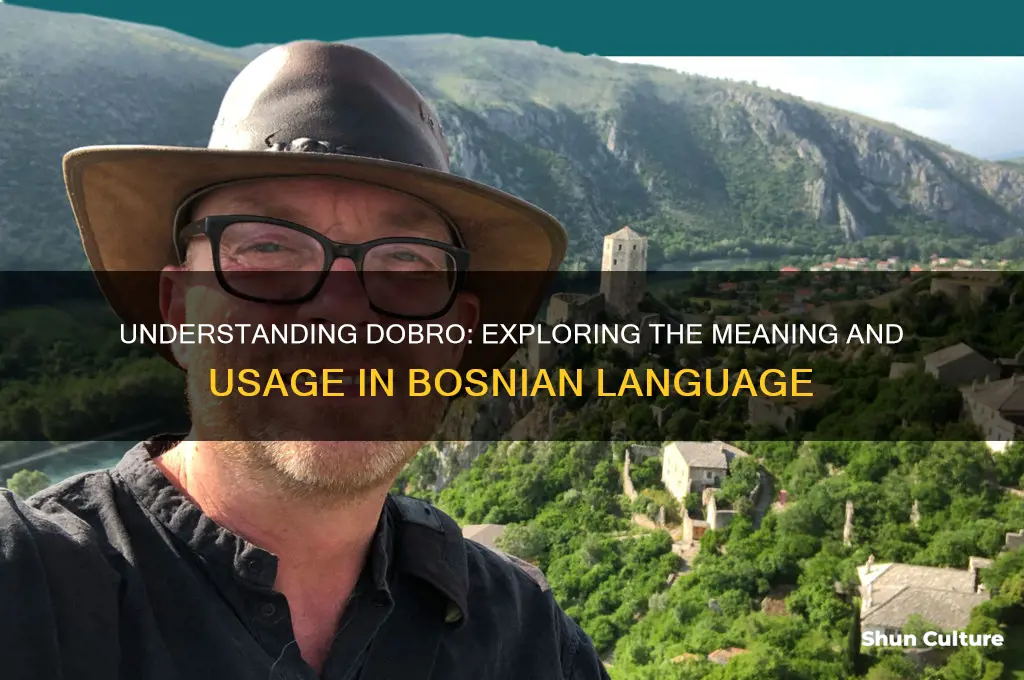 what does dobro mean in bosnian