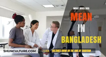Understanding DOS: Its Meaning and Significance in Bangladesh Context