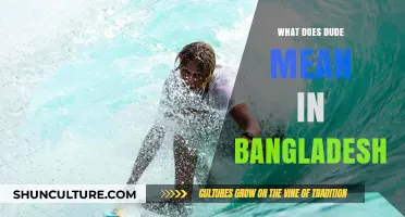 Unraveling the Meaning of 'Dude' in Bangladeshi Culture and Slang