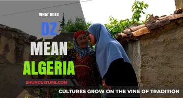 Understanding DZ: Decoding Algeria's Country Code and Cultural Significance