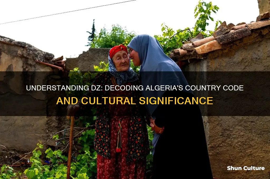 what does dz mean algeria