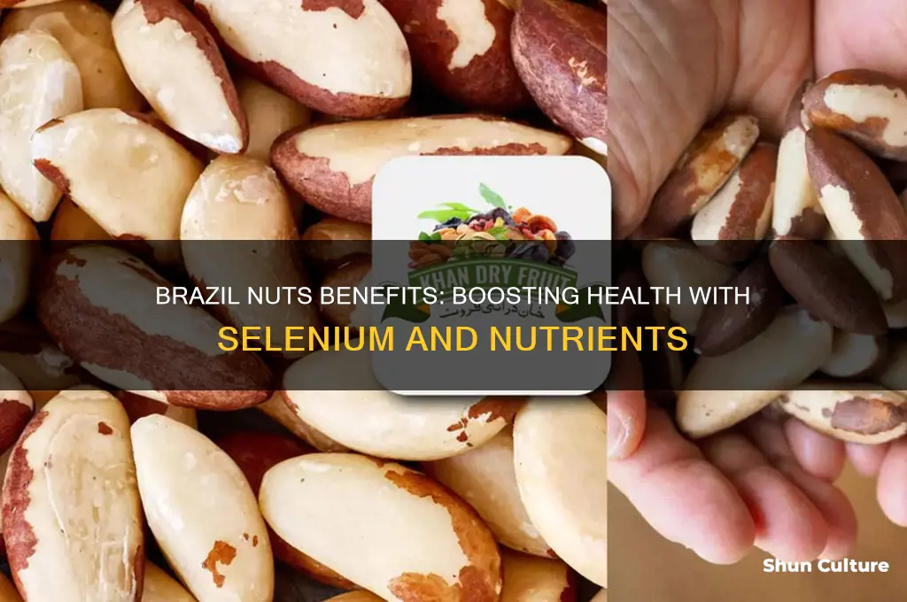 what does eating brazil nuts do for you