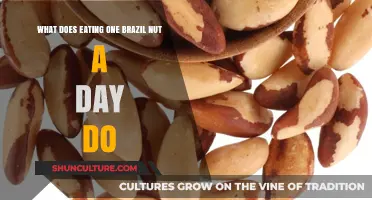 One Brazil Nut Daily: Surprising Health Benefits and Potential Risks